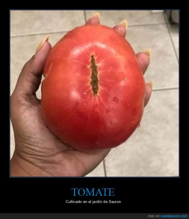 tomate,ojo,sauron,el señor de los anillos