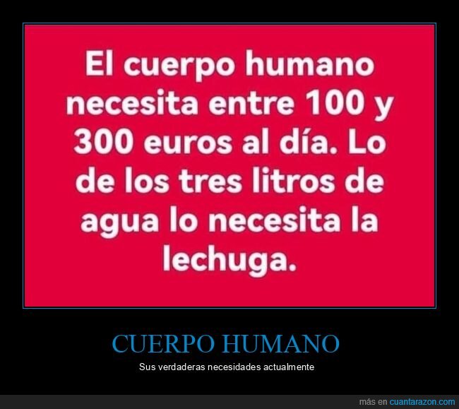 cuerpo humano,necesitar,euros,agua