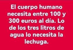 Enlace a Lo que realmente necesita el cuerpo humano