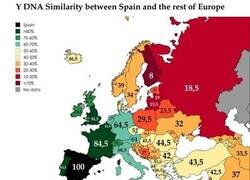 Enlace a Porcentaje de similitud genética entre España y el resto de Europa