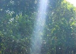 Enlace a Toque divino