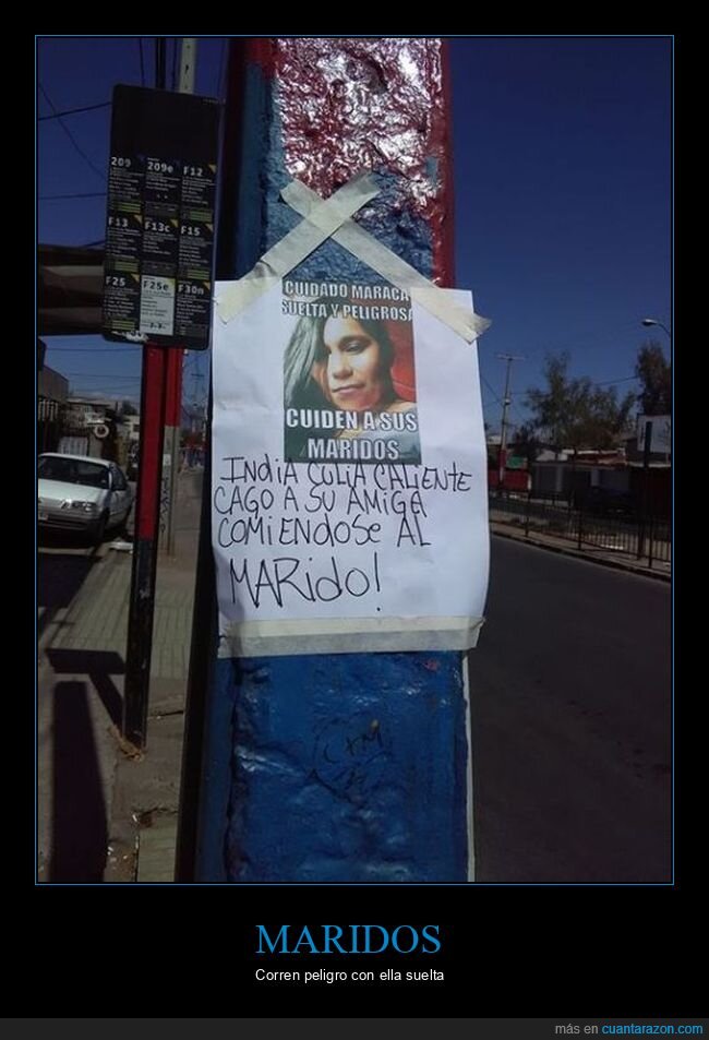 carteles,maridos,peligrosa,suelta