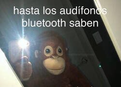 Enlace a Hasta los auriculares bluetooth lo saben...