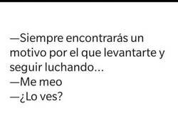 Enlace a El mejor motivo para levantarse