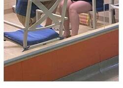 Enlace a Conmovedoras fotos de mascotas adoptadas que por fin encontraron su hogar para siempre