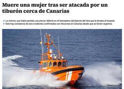 Enlace a Atacada por un tiburón al bañarse en mar abierto