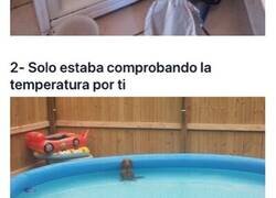 Enlace a Mascotas pilladas con las patas en la masa