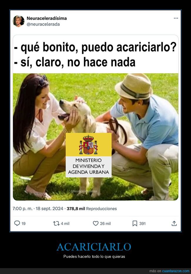 acariciar,ministerio de vivienda,nada,perros