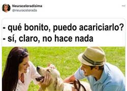 Enlace a Acaricia sin miedo...