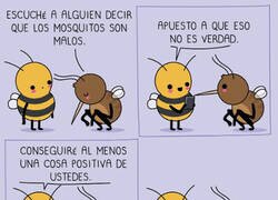 Enlace a Los mosquitos también tienen su día