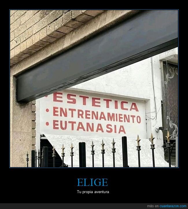 entrenamiento,estética,eutanasia