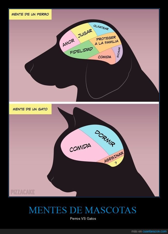 mentes,perros,gatos