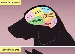 Enlace a Mente de perro VS Mente de gato