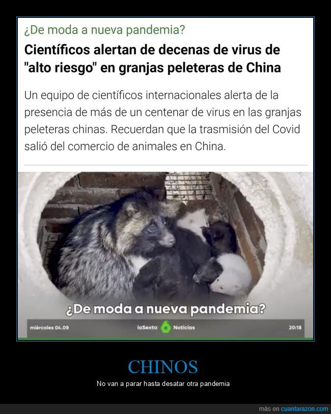 virus,granjas peleteras,china