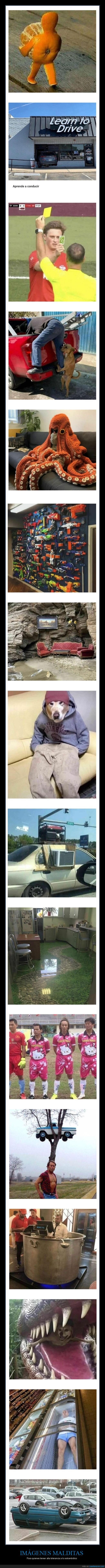 imágenes malditas,wtf