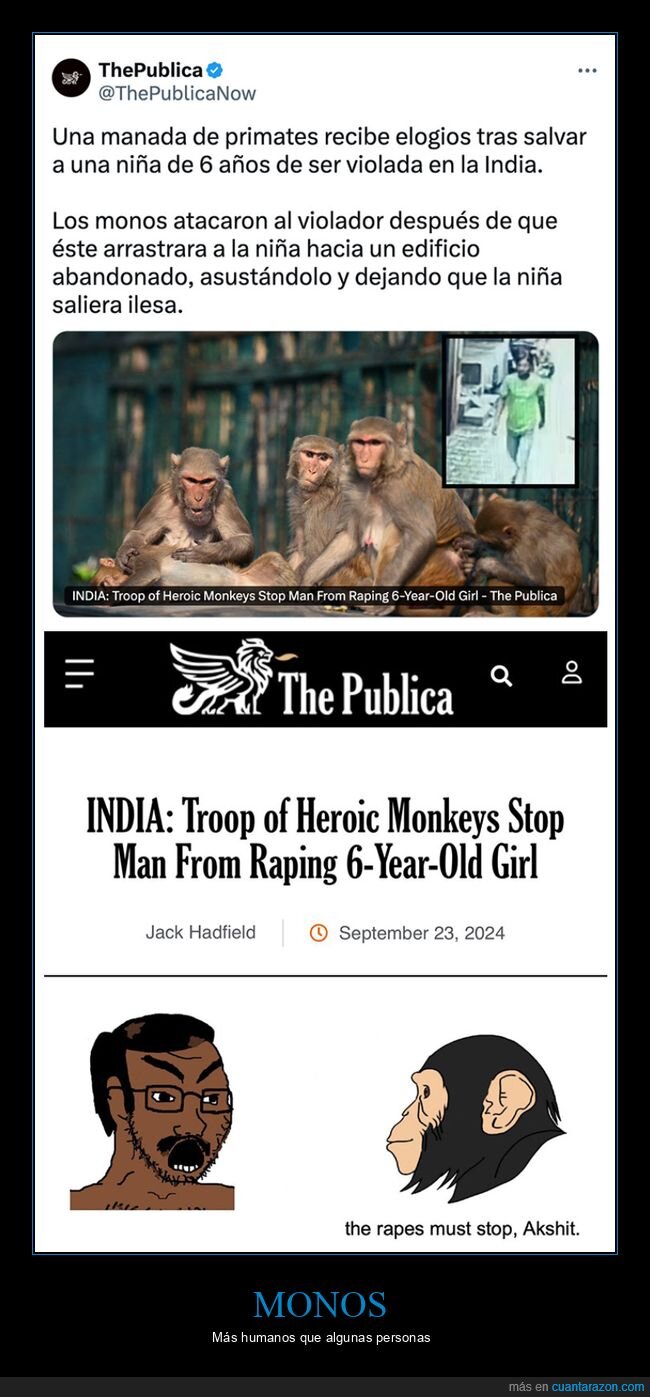 india,monos,niña,salvar