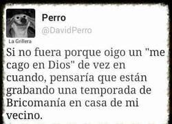 Enlace a Ruidos en casa del vecino