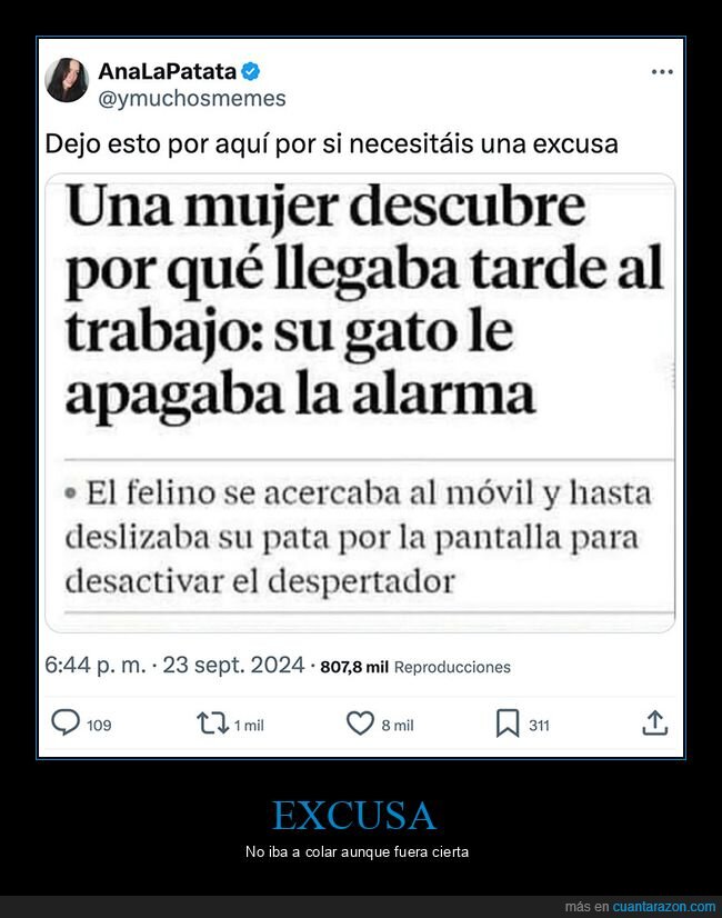 alarma,apagar,gatos,llegar tarde,trabajo