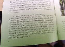 Enlace a Motivos un tanto absurdos y contradictorios