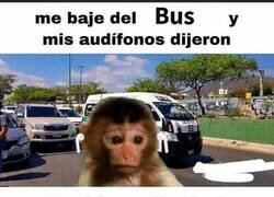 Enlace a Descuido en el bus