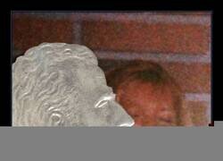 Enlace a Siempre haciéndose el duro