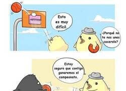 Enlace a Nuevo fichaje
