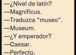 Enlace a Experto en latín