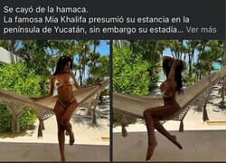 Enlace a Problemas con las hamacas