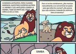 Enlace a El círculo de la vida