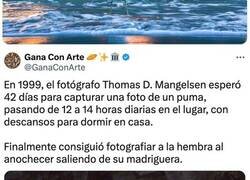 Enlace a Fotógrafos que esperaron pacientemente para captar la foto de su vida