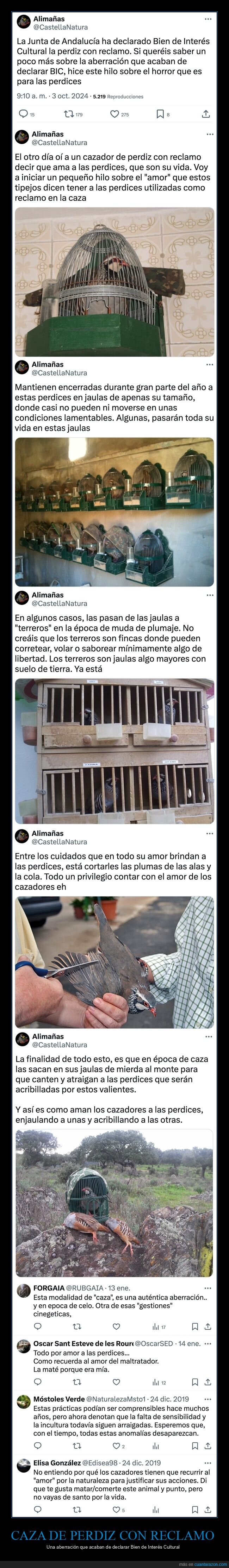 caza,perdiz,reclamo