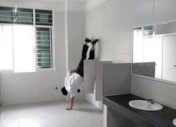 Enlace a La manera más óptima de mear