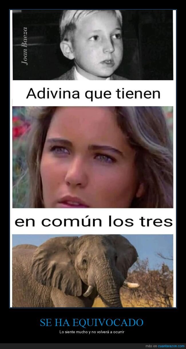 alfonso de borbón,elefante,juan carlos i,sandra mozarowsky
