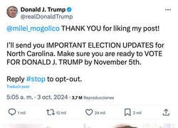 Enlace a Las respuestas automáticas las carga el diablo