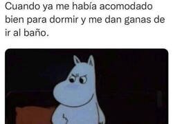 Enlace a Por eso hay que ir siempre al baño antes de acostarse...