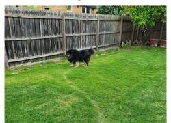 Enlace a «Caminos del deseo»: fotos mostrando lo que ocurre cuando los planificadores urbanos no entienden lo que necesita la gente