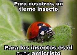 Enlace a El anticristo de los insectos