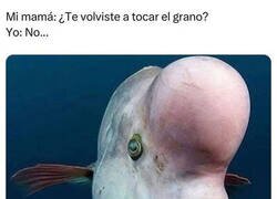 Enlace a ¿Por qué lo preguntas?