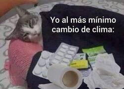 Enlace a Cuando cambia el tiempo ligeramente