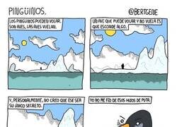 Enlace a El secreto de los pingüinos