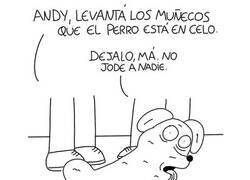 Enlace a Pobre Woody...