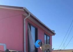 Enlace a La de canales que podrán ver...