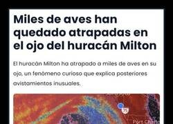 Enlace a En el ojo del huracán