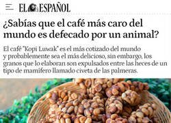 Enlace a El café más caro