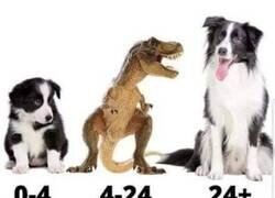 Enlace a Etapa intermedia infernal