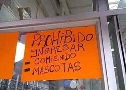 Enlace a Todo son prohibiciones...