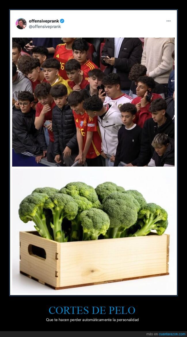 peinados,pelo brócoli