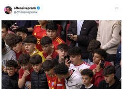 Enlace a Invasión de brócolis