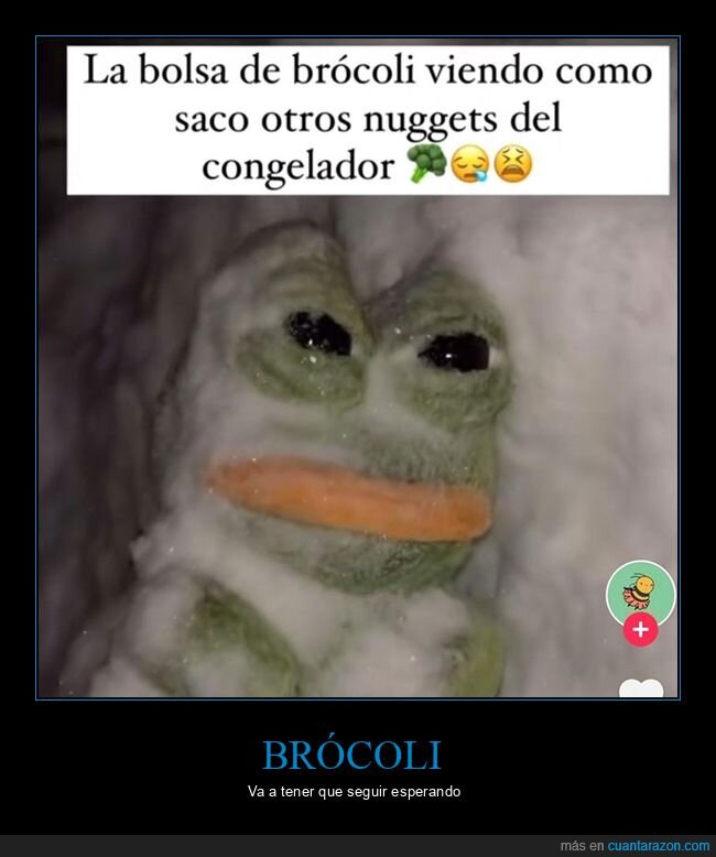 brócoli,congelador,nuggets