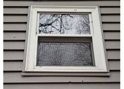 Enlace a Fotos que te quitan las ganas de tener vecinos cerca